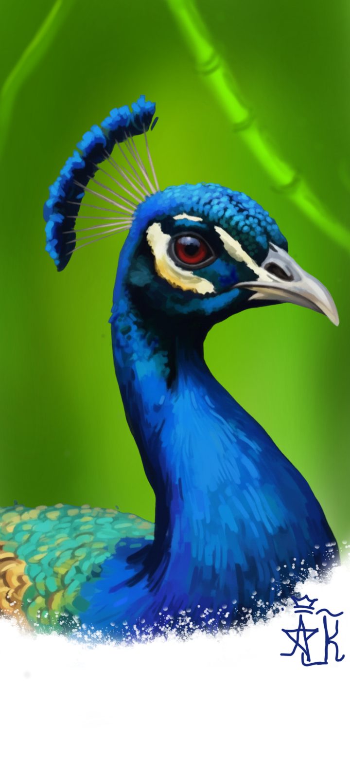 Peacock · Mobile Painting